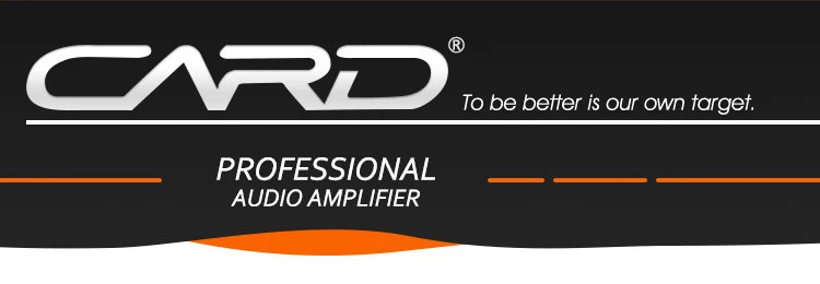amp-0508(2010)_01.jpg