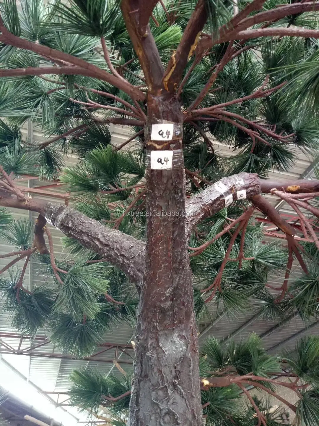 16ft Small Pine Trees Wholesale Use Indoor Outdoor Decorative