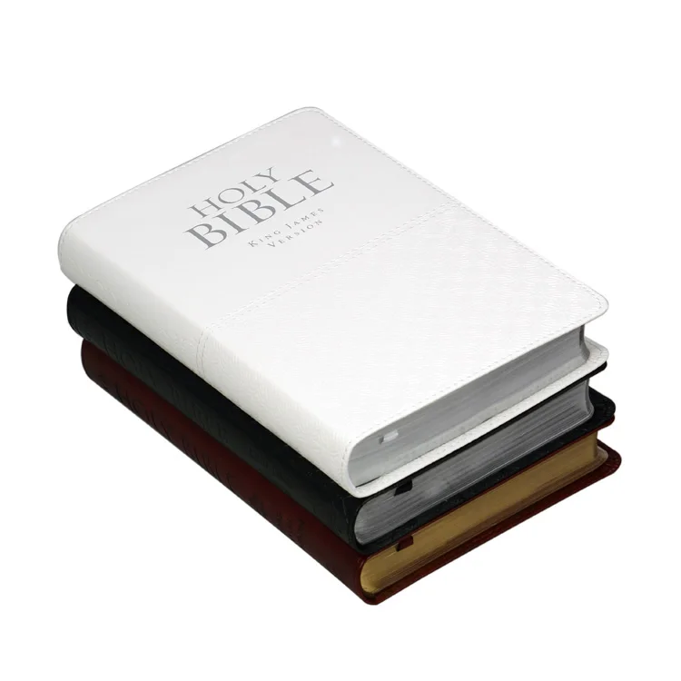 bible book079.jpg