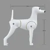 Grooming Modle dog for trimming Dog Mannequin model dog model