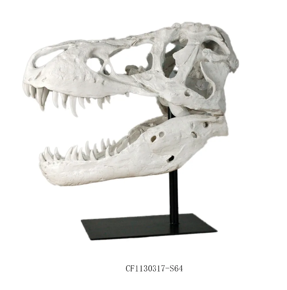 3D Carved Resin Animal Head Tyrannosaurus T Rex Head  Dinosaur Skull For Home Decor details