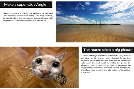 F2.8 fixed lens  (8)