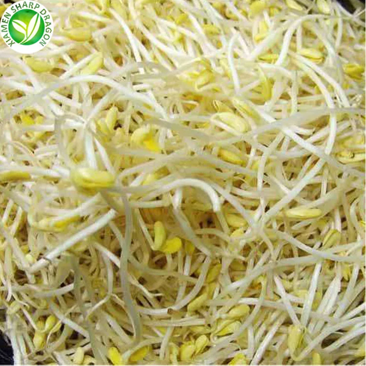 
IQF Greenhouse green frozen mung bean sprouts 