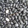 New Crop Easy Cooking Black Kidney Beans (Black Turtle Beans)