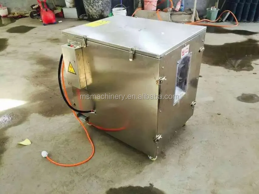 automatic fish cleaning scaling gutting machine