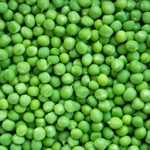 
Hot Sell Bulk IQF Frozen Vegetable Green Peas 