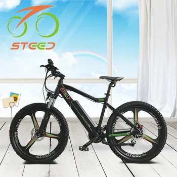 Newest Product Mountain Bicycle Smart Electric Bike Price