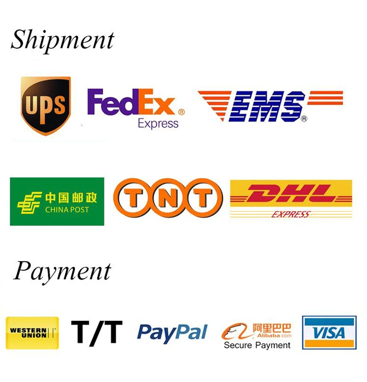 Shipping and Payment