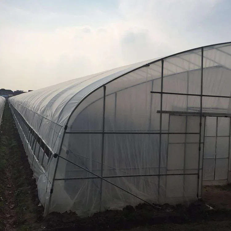 
New high quality agriculture aluminium plastic greenhouse 