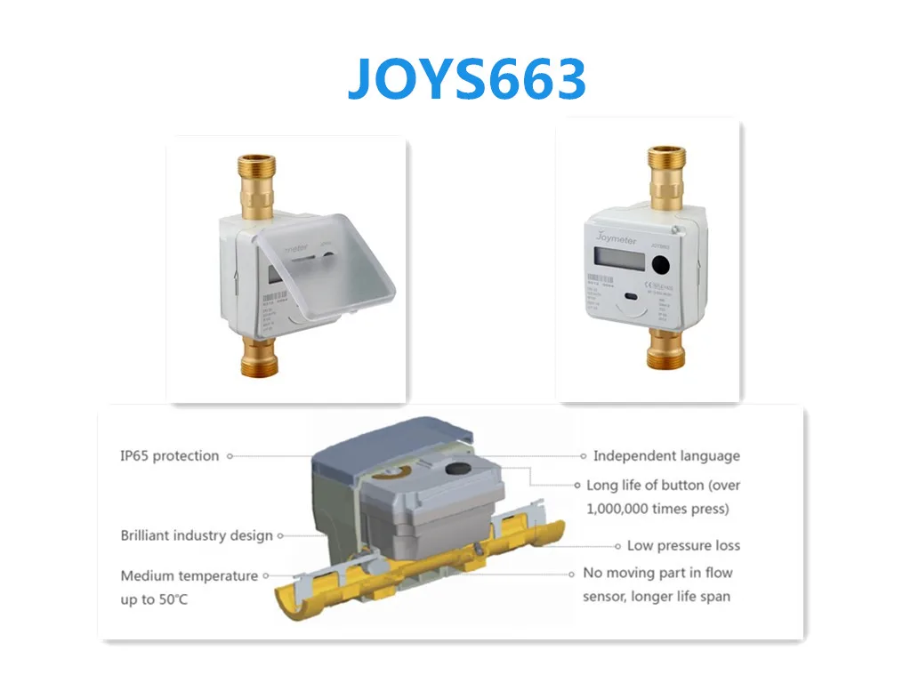 JOYS663.jpg