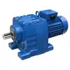 Roots Vacuum Pumps