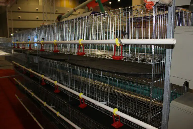 
Poultry equipment price cheap chicken coops small chicken cage /baby chicks cages 