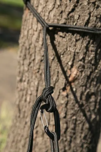 Hammock Tree Sling.jpg