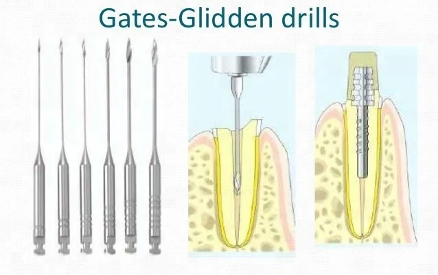 HTB1eIuiXcfrK1Rjy1Xdq6yemFXaD