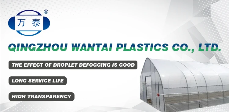 greenhouse thin film.jpg