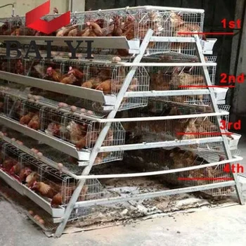 Download Chicken Layer Battery Cage In Kerala And India,Chicken ...