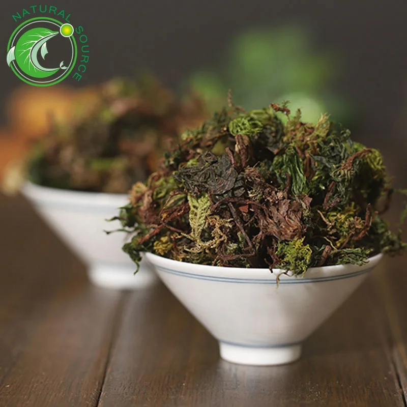 Large Leaf Moss  (6).jpg