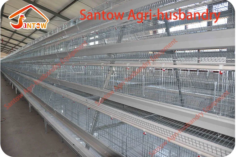 A type 4 tier chicken layer cages pigeon breeding battery cage for poultry farm