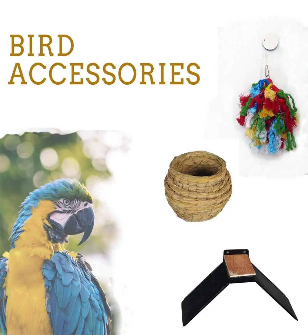 For Sale India Big 1000 Collapsible ‎ Wholesale Cages Parrot Birds 6By5 Flight Extra Large Bird Cage