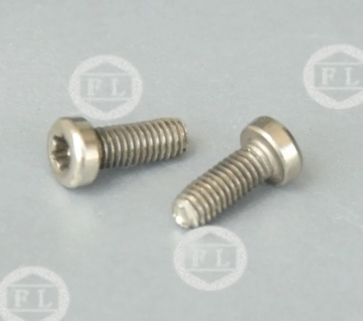 
Stainless Steel torx pan head screws with washer 