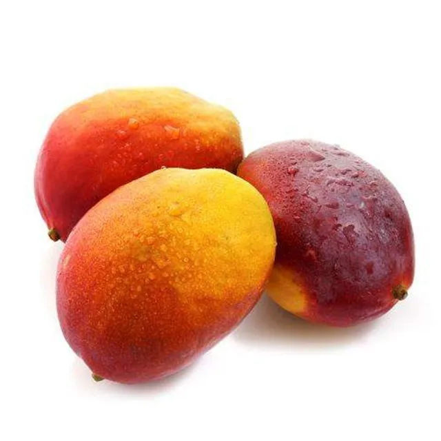 chinese supplier best brand organic mango fresh with low price -