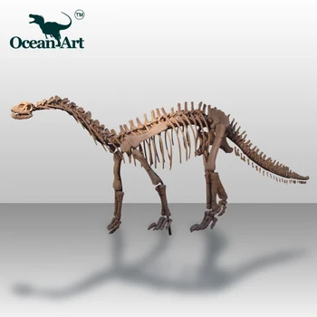 life size dinosaur skeleton replicas for sale