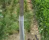 green color tree protector/guard mesh