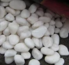 White Color marble chips grave stone for terrazzo