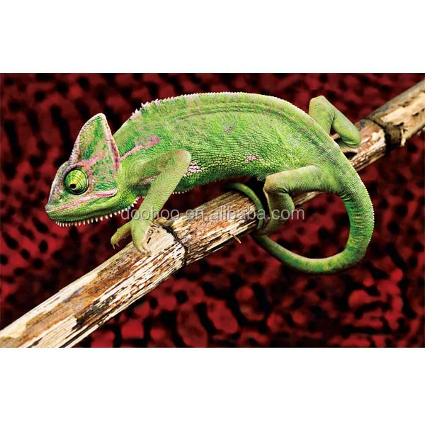 
2015 new product 3d cards reality chameleon 3d cards 3d lenticular cards 