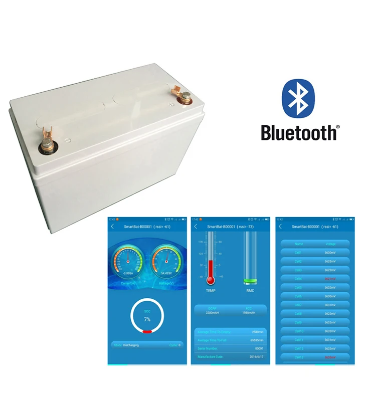 UN38.3 Caravan RV 12v 24v 100ah Solar Battery Bank / Lifepo4 Battery