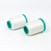 Oeko-Tex100 1 Class 150d/2 Polyester Luminous Thread for Weaving