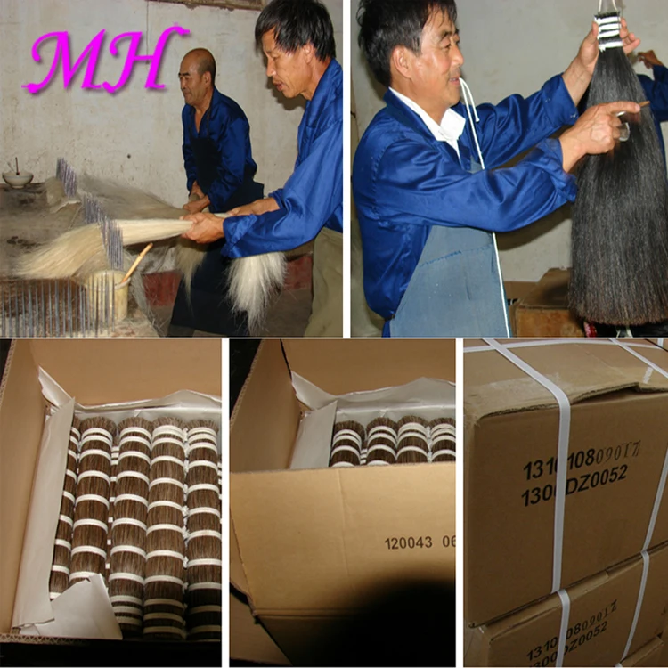 Hot Sale Horse Tail Hair And Horse Mane Hair 4''36'' Horse Hair Use