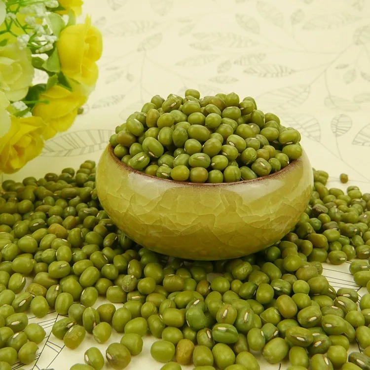 Organic Sprouting green mung beans