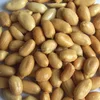 Certificate Salted fried Peanuts, groundnut