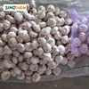 /product-detail/good-quality-fresh-garlic-importer-from-shandong-origin-62045779668.html