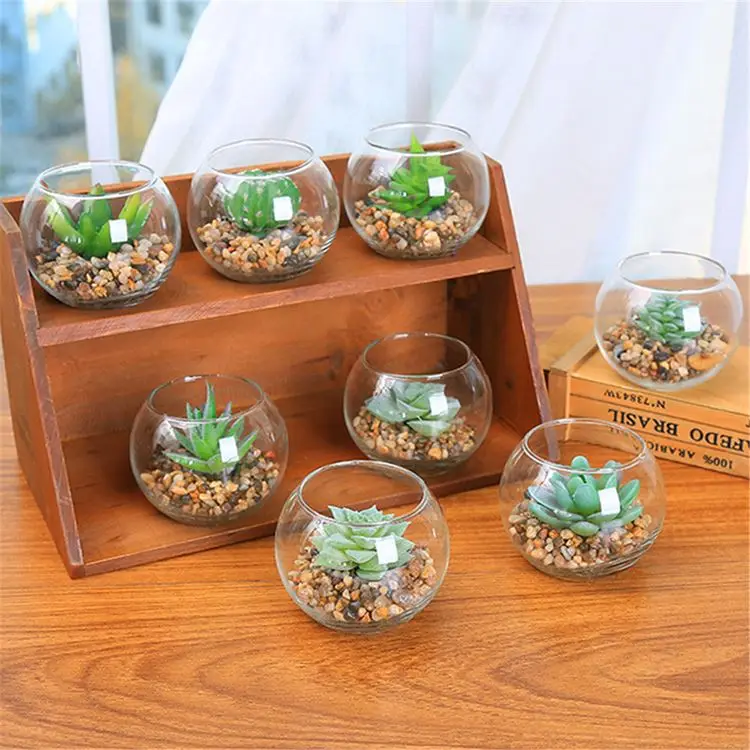 

Decorative Simulation Succulents Artificial Cactus Plant Random Style