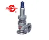 High temperature high Pressure safety valve with radiator for oil/LPG