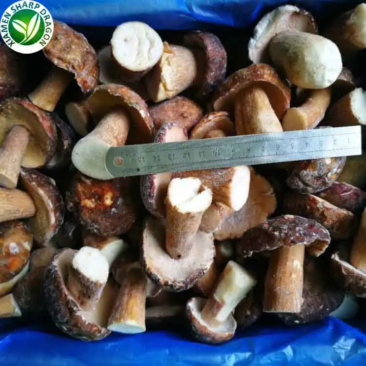 Wholesale Cultivation Frozen Fresh Porcini Mushrooms Buy Frozen