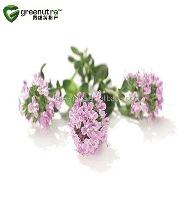 Thymus Vulgaris Extract Buy Thymus Vulgaris Extract,Thymus Vulgaris