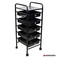 

Multi-Function Beauty Salon rolling cart