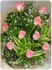 A Dozen Bouquet of Pink Roses Php 2,700.00 USD 60.00