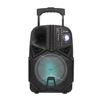 

Trolley bluetooth speaker with fm