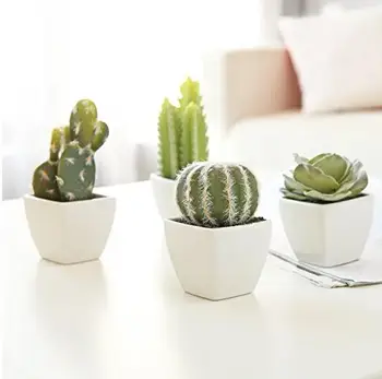 Mini Indoor Tanaman Kaktus  Dalam Kubus Berbentuk Keramik 