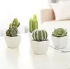 /product-detail/mini-indoor-cactus-plants-in-white-cube-shaped-ceramic-flower-pots-60625504399.html