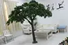 artificial small umberalla shape display pine tree for wholesale