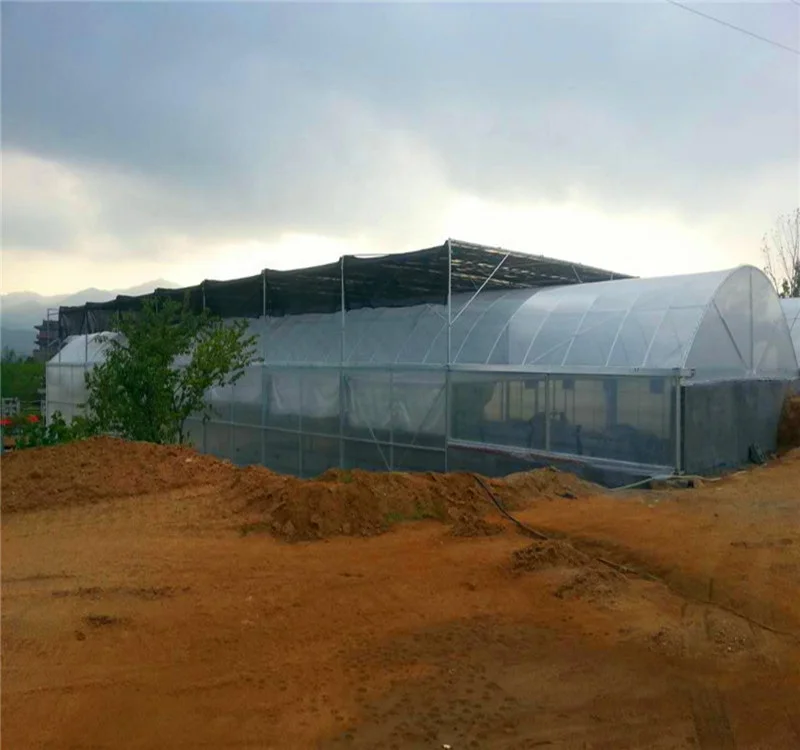 
easy installed Agricultural Plastic film Greenhouse project from China 
