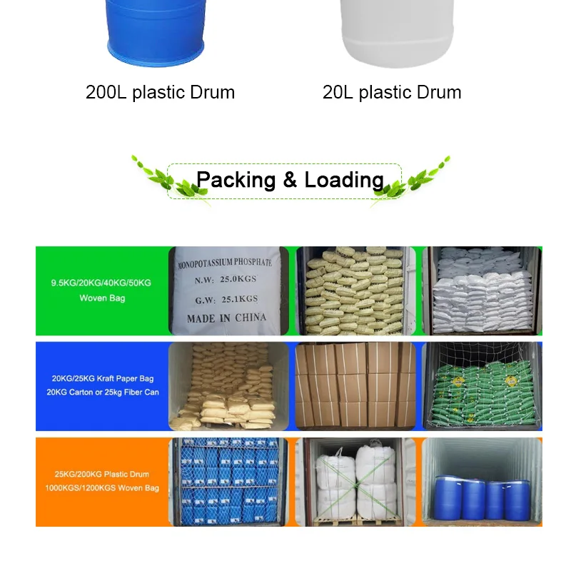 FO202-Detail-171118_07