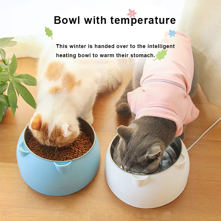 
Wholesale Stainless Steel Pet Food Feeding Bowl Cat Dog Bowl Pet 