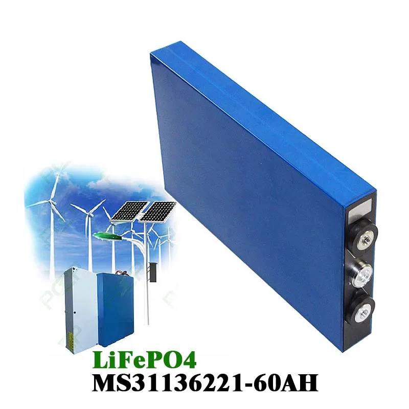 MS31136221-01