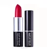 /product-detail/free-shipping-wholesale-high-quality-lipstick-makeup-waterproof-matte-lipstick-60788018494.html